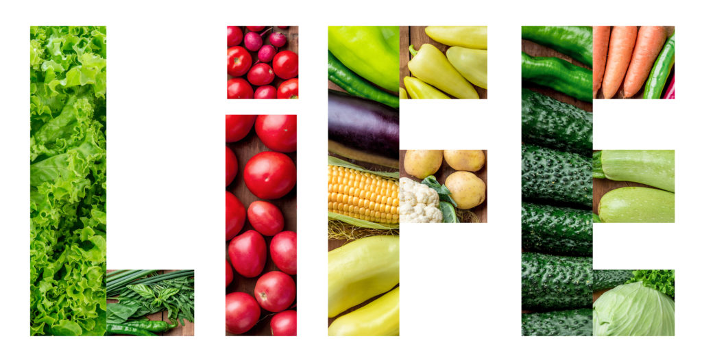 The set or collage of healthy fresh vegetables. concept of healthy life